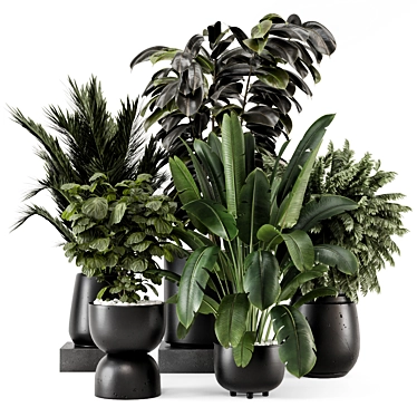 Modern Indoor Plants Collection Set 3D model image 1 