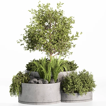 High-Quality Outdoor Plants Set 3D model image 1 