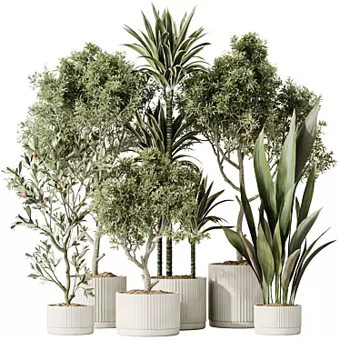 Variety of 6 Indoor Plant Models 3D model image 1 