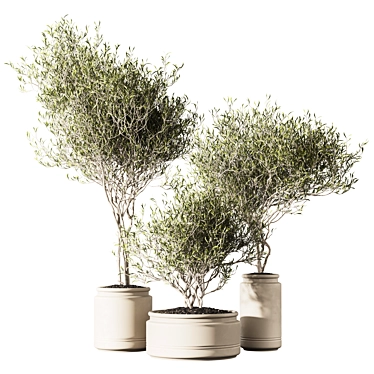 Set of Indoor Live Plants 3D model image 1 