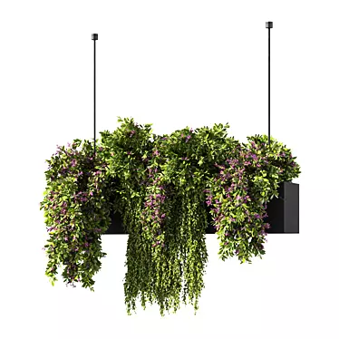 Botanical Bliss Hanging Plants Set 3D model image 1 