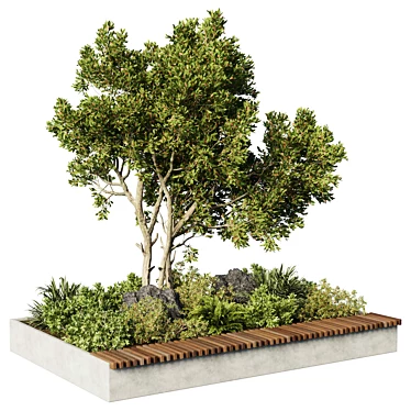 Concrete Box Plants - set outdoor plants 199