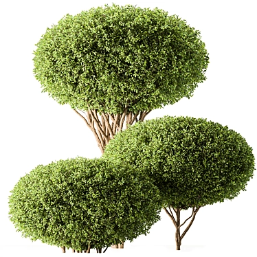 Artificial Topiary Ball Bush Set 3D model image 1 