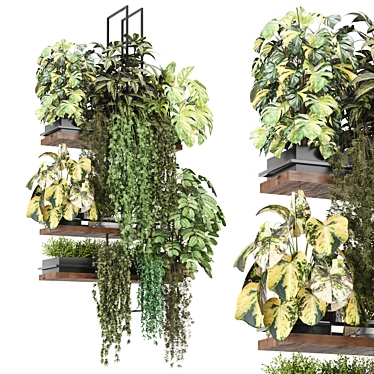  Metal Box Hanging Plant Set 3D model image 1 