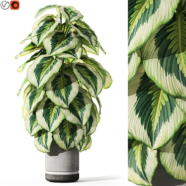 Botanical Bliss Collection 1085 3D model image 1 