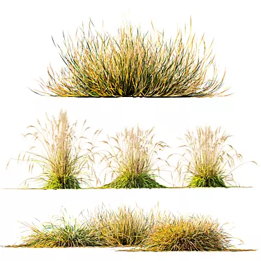 Fireside Grass Bundle Set 3D model image 1 