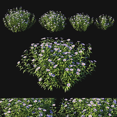 Aster Bush 3D Model Kit 3D model image 1 