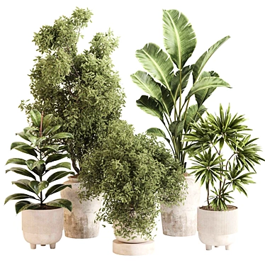 Stylish Indoor Plant Set 099 3D model image 1 