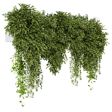 Gray Pot Indoor Hanging Plants 3D model image 1 