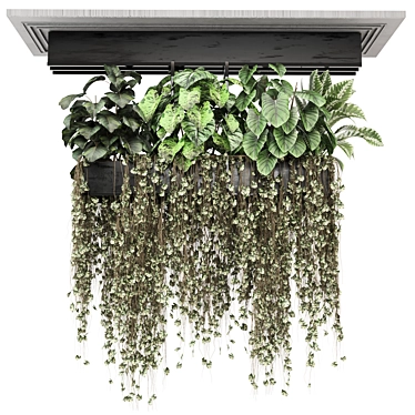 Compact Metal Hanging Plant Set 3D model image 1 