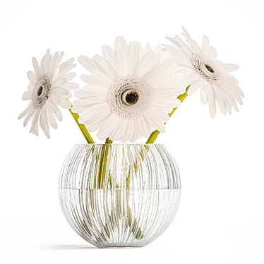 Modern White Gerbera Bouquet 3D model image 1 