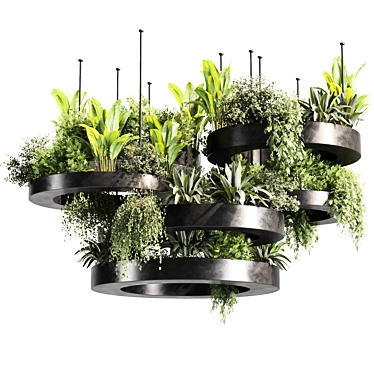 Premium Indoor Hanging Plant Set 3D model image 1 