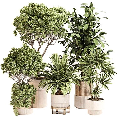 Premium Indoor Plant Collection 106 3D model image 1 