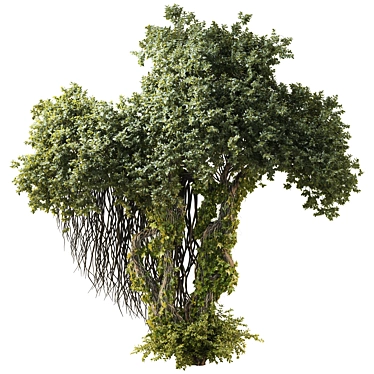 High-Quality Jungle Tree 3D Model 3D model image 1 