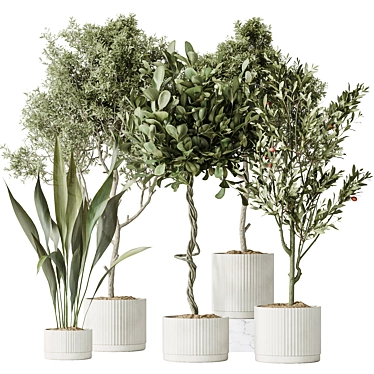 Diverse Indoor Plant Set 3D 3D model image 1 