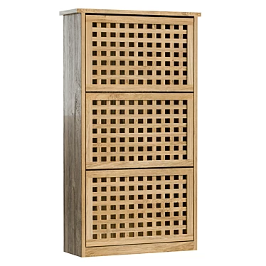  Modern Walnut Shoe Cabinet 3D model image 1 