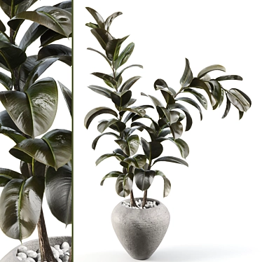 Title: Sleek Rubber Tree Plant 3D model image 1 