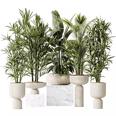 Indoor Plant Collection Set 81 3D model image 1 