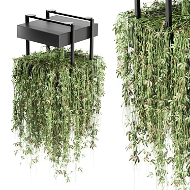 Metal Box Indoor Hanging Plants 3D model image 1 