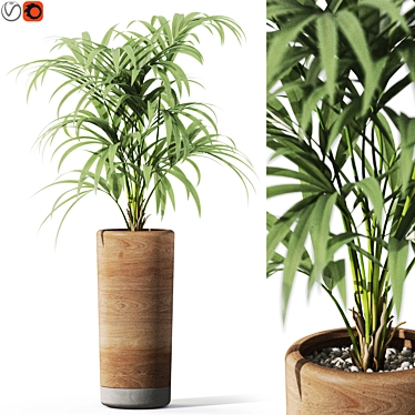 Botanical Chic Plants Set 3D model image 1 