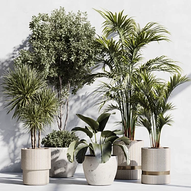 Indoor Plant Set 89