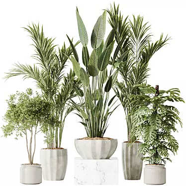 Multifoliage Indoor Plant Set 3D model image 1 