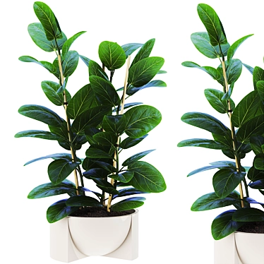 Botanical Collection Set 76 3D model image 1 