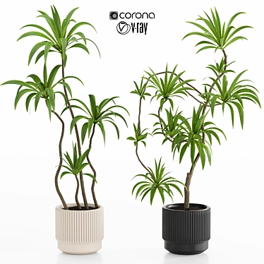 plant set 20