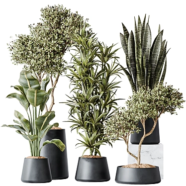 Urban Jungle Plant Set: 5 Varieties 3D model image 1 