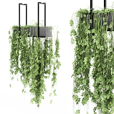 Metal Box Hanging Plants Set 3D model image 1 