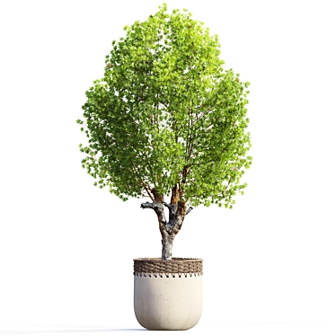 2m Tree Planter - 3D Model 3D model image 1 