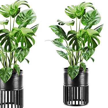 Vibrant Plants Set 3D Model 3D model image 1 