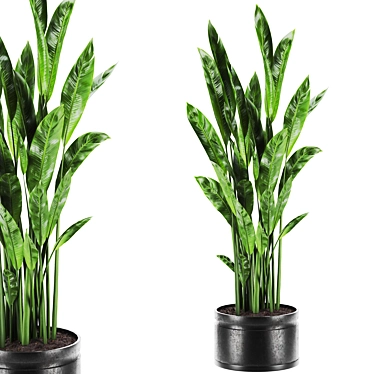  Botanic Bliss Set 86 3D model image 1 