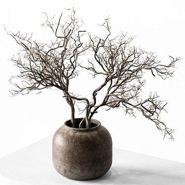 Rustic Dried Branch Bouquet 3D model image 1 