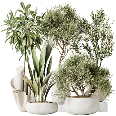 Luxury Indoor Plant Set Collection 3D model image 1 