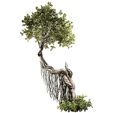 High Quality Jungle Tree Model 3D model image 1 