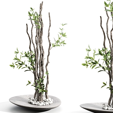 Elegant Tree Branch Display Vase 3D model image 1 