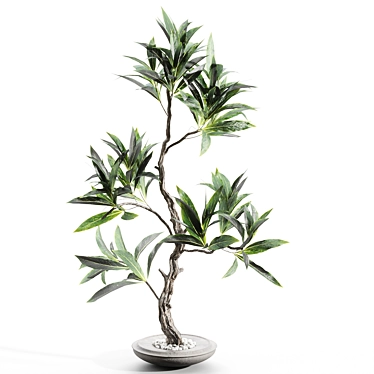 Elegant Branches in Vases 3D model image 1 