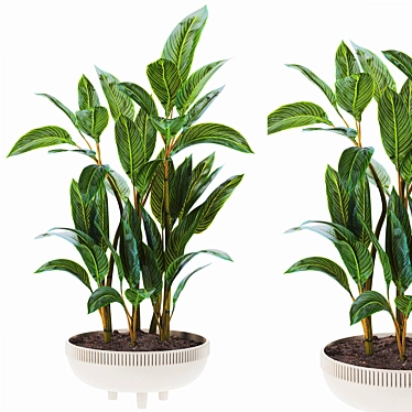 3D Plant Collection Set 90 3D model image 1 