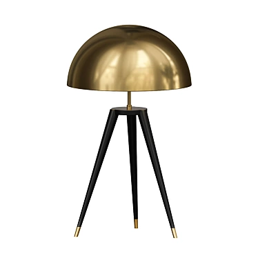 Fairbank Fife Tripod Table Lamp 3D model image 1 