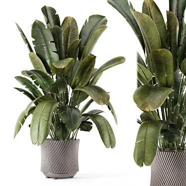 Artisan Stone Pot Indoor Plants 3D model image 1 