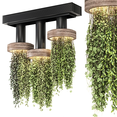 Corona Indoor Hanging Plants Set 3D model image 1 