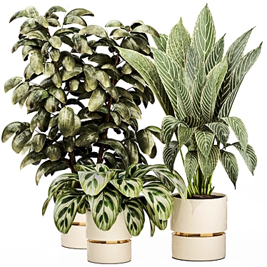 Detailed Indoor Plant 3D Model 3D model image 1 