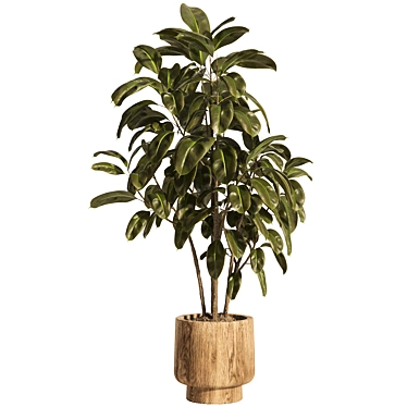 Natural Wood Indoor Plant Decor 3D model image 1 