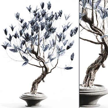 Elegant Branches in Glass Vases 3D model image 1 