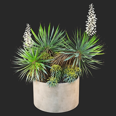 Yucca Euphorbia Planters 3D Model 3D model image 1 