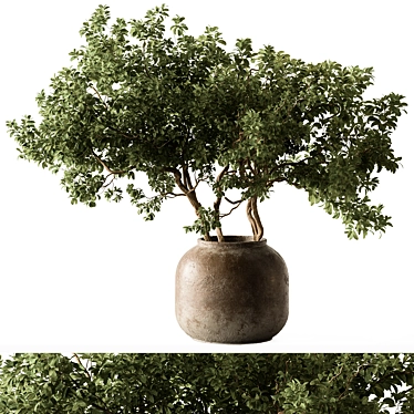 Elegant Green Branch Bouquet 3D model image 1 