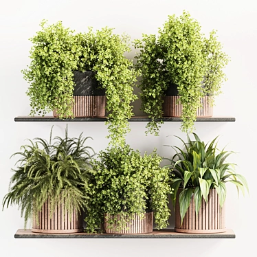 High-Quality Indoor Plants Set 3D model image 1 