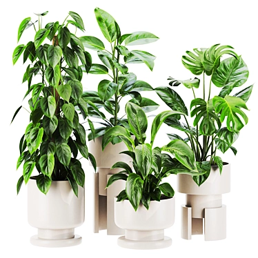 Vibrant 3D Plants Collection Kit 3D model image 1 