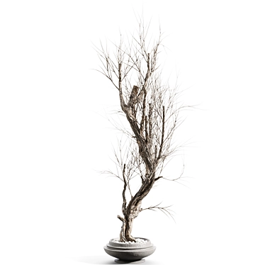 Twig Decor Vase Set 3D model image 1 